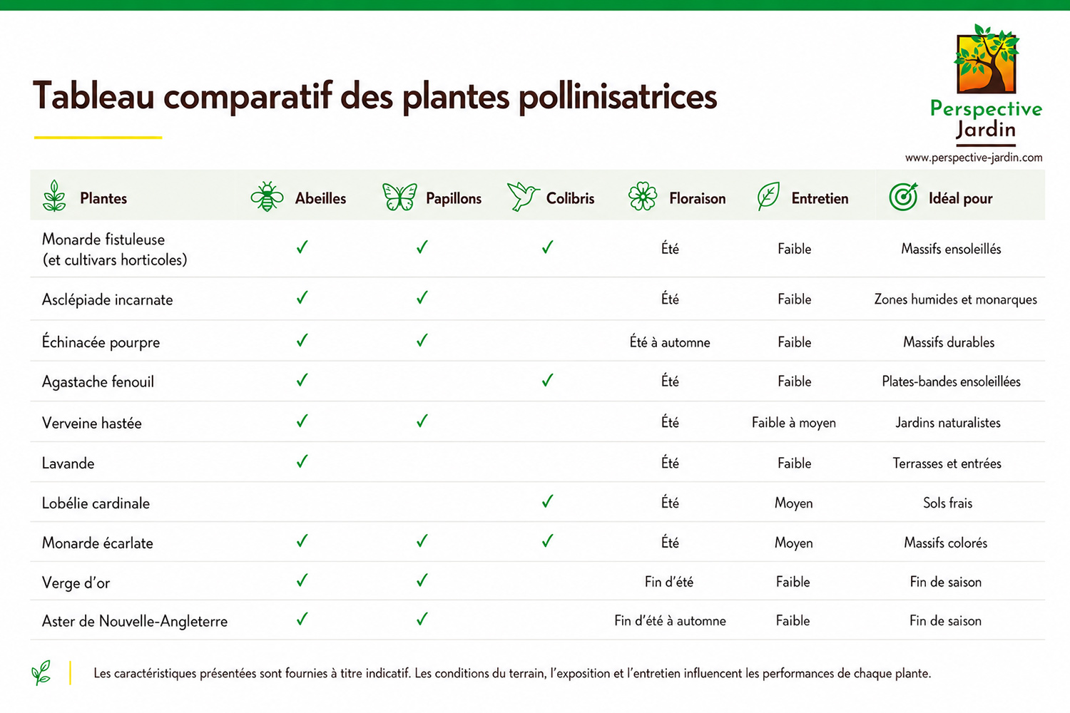 Les 10 meilleures plantes pour attirer les papillons, les colibris et les abeilles en Estrie