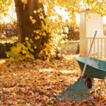 Que faire au jardin à l'automne? 10 travaux à prévoir en Estrie