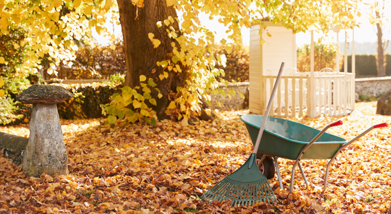 Que faire au jardin à l'automne? 10 travaux à prévoir en Estrie